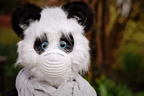 Καζίνο Μαρς Μπετ Υποστηριξη